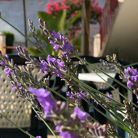 L' Auberge Campagnarde, Lourdes Poueyferré Zewnętrze zdjęcie