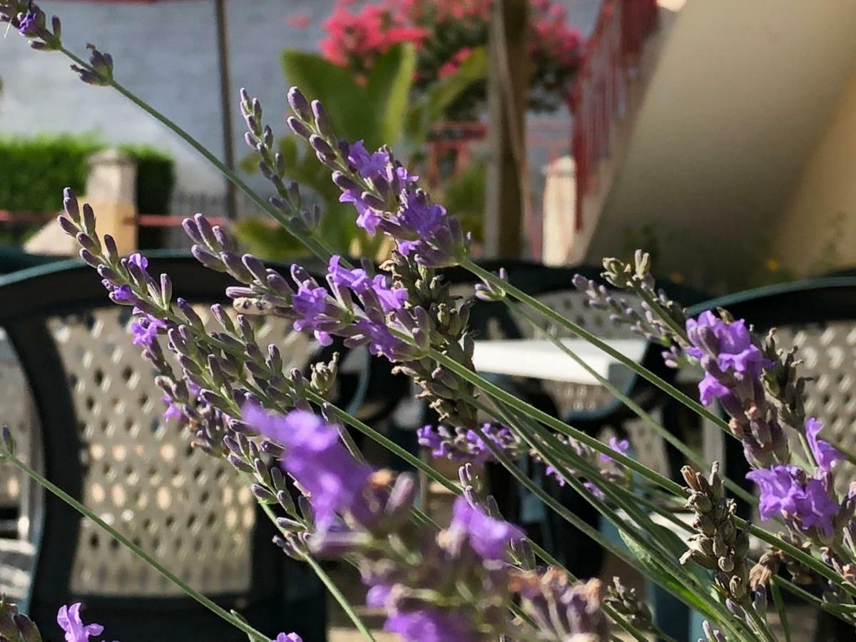 L' Auberge Campagnarde, Lourdes Poueyferré Zewnętrze zdjęcie